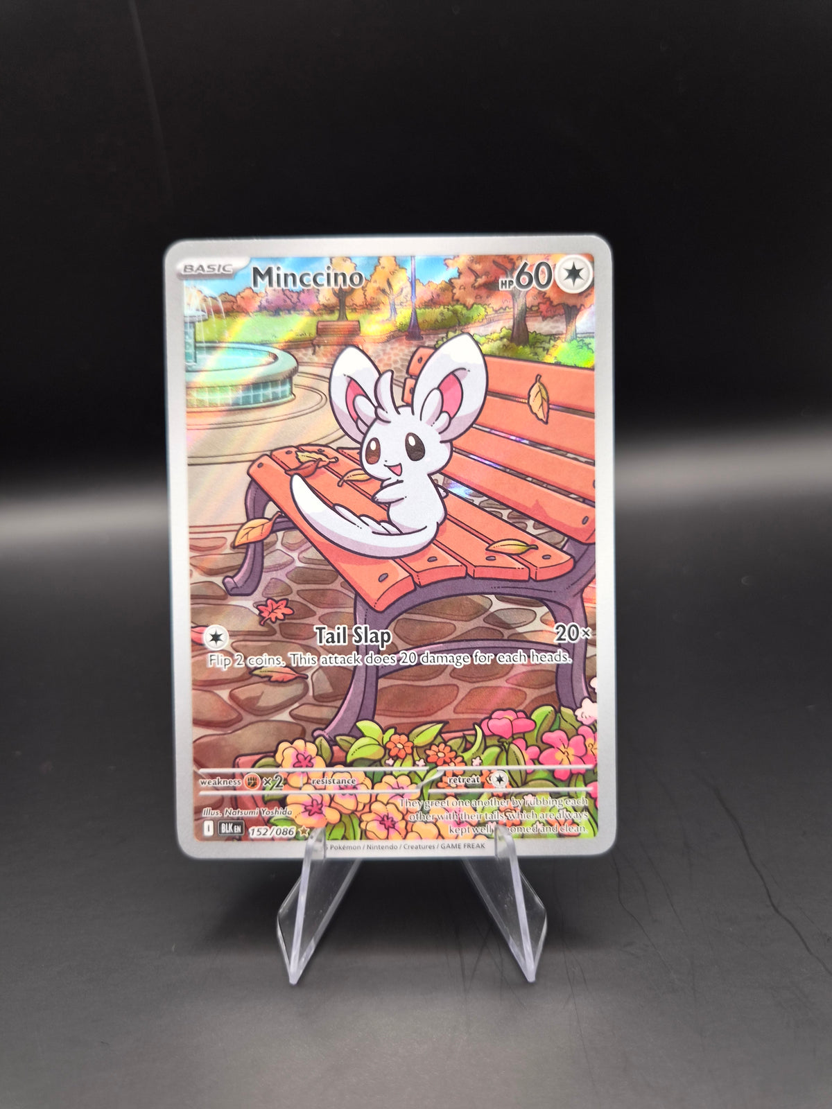 Minccino (Pokemon Scarlet & Violet Black Bolt)